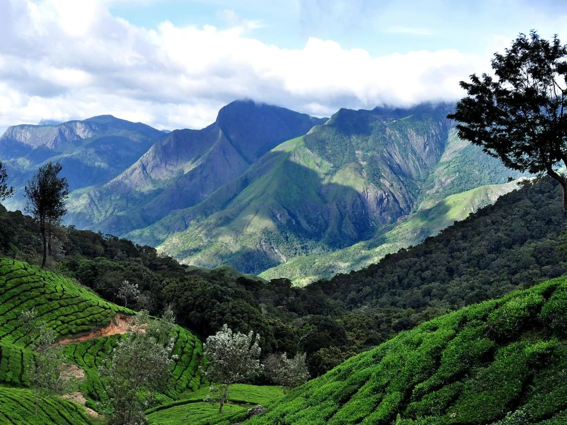 Kerala on Bird’s Eye View: A 6-Day Journey Through God’s Own Country